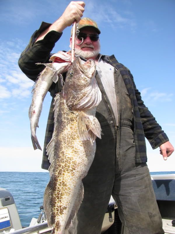 Show us Your Favorite Halibut Rig Setup Bloodydecks